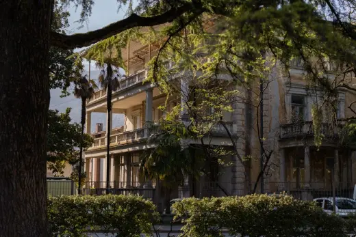 Historic villa framed by foliage