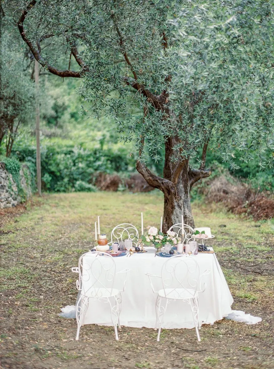 Intimate dining table beneath an olive tree
